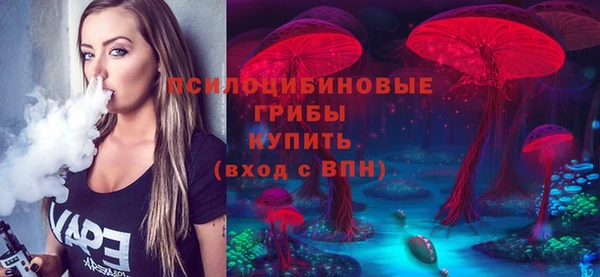 стафф Нягань