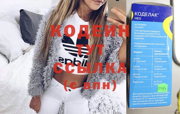 ешки Няндома