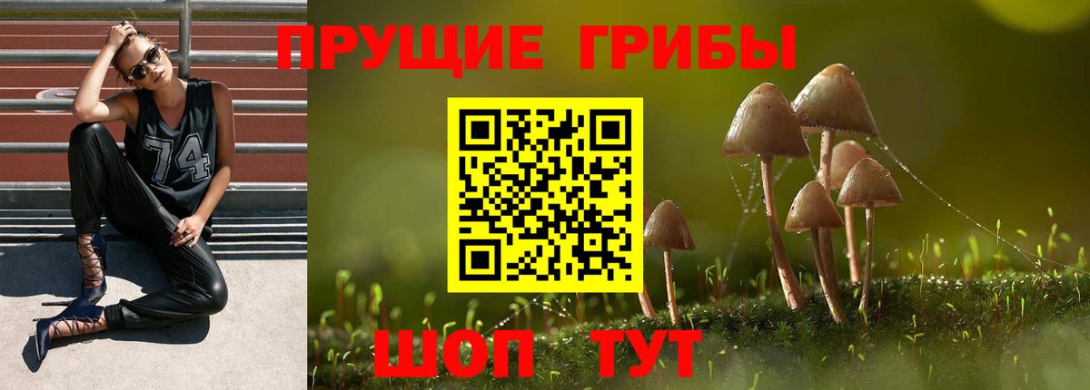 Кулебаки  Галлюциногенные грибы мицелий  Вход с VPN  Галлюциногенные грибы Magic Shrooms 